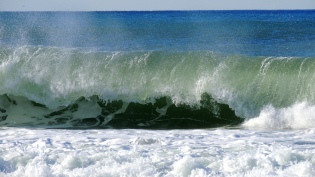 Surf's Up 1111201403