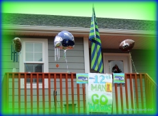 My display of support during last year's Championship games.