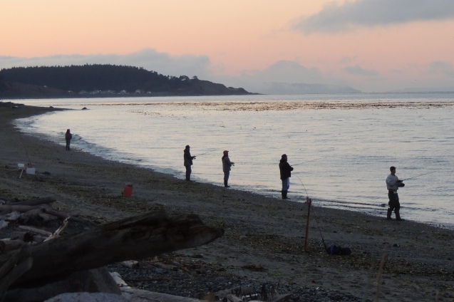 Beach Casting for Salmon